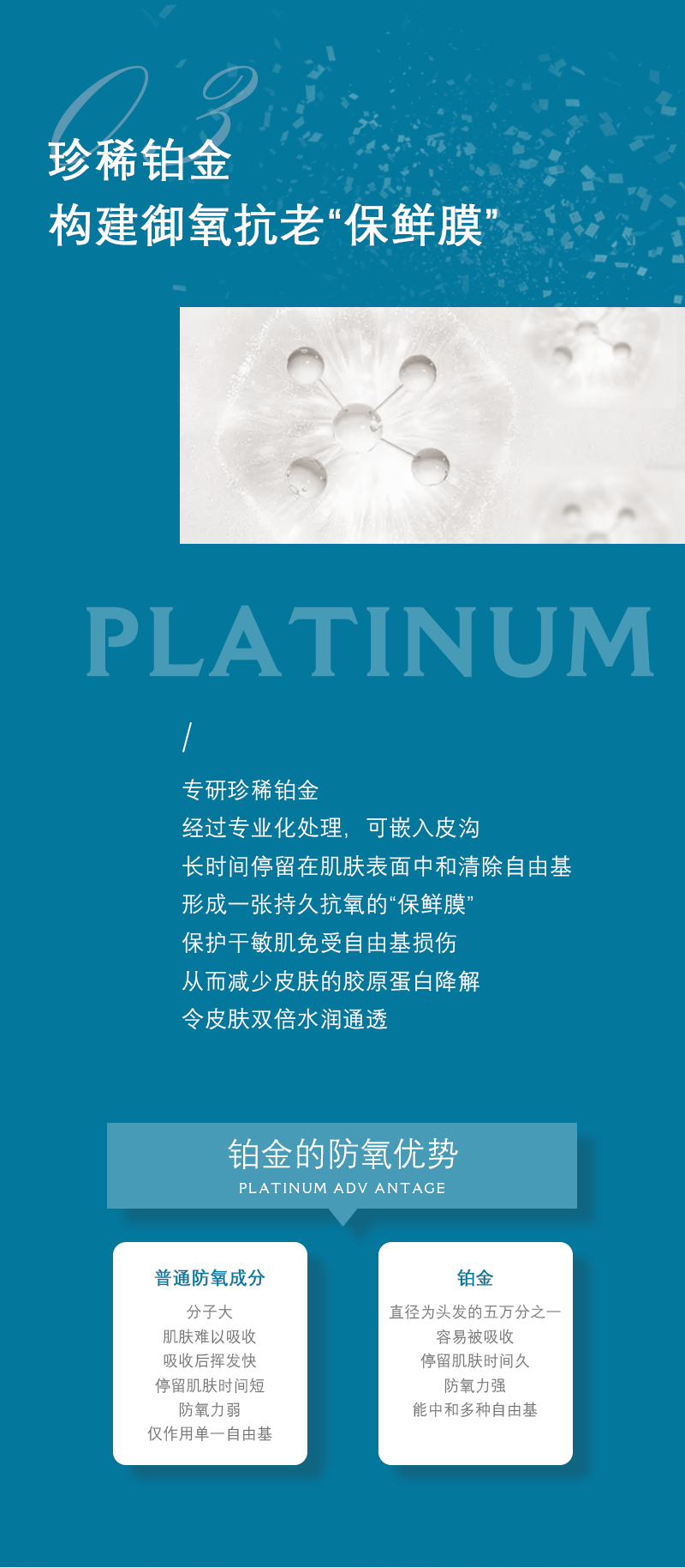 神经酰胺_06.png