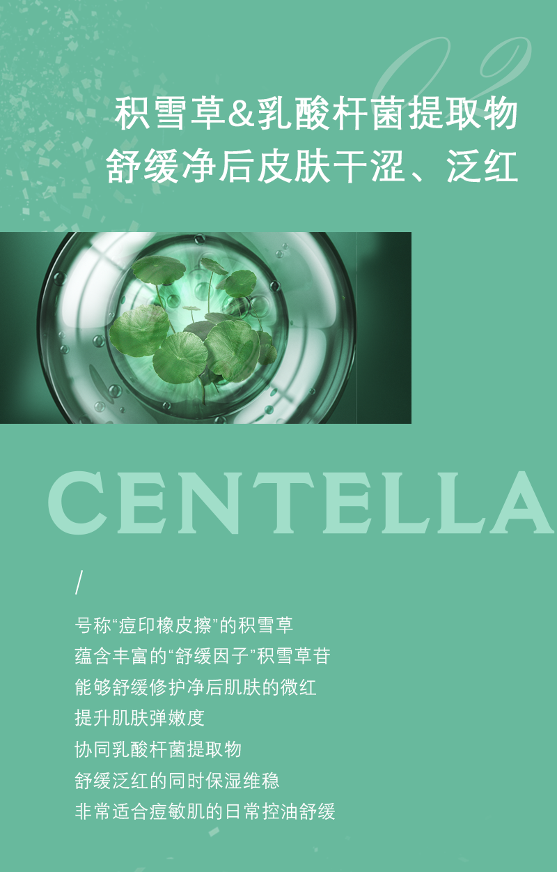 积雪草_05.png