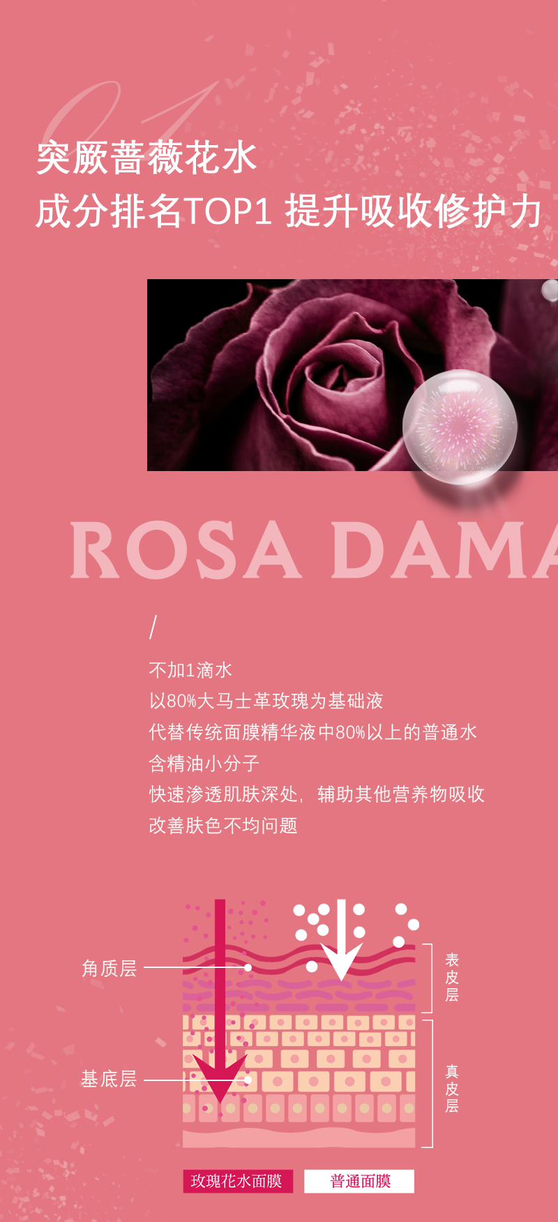 烟酰胺_04.png