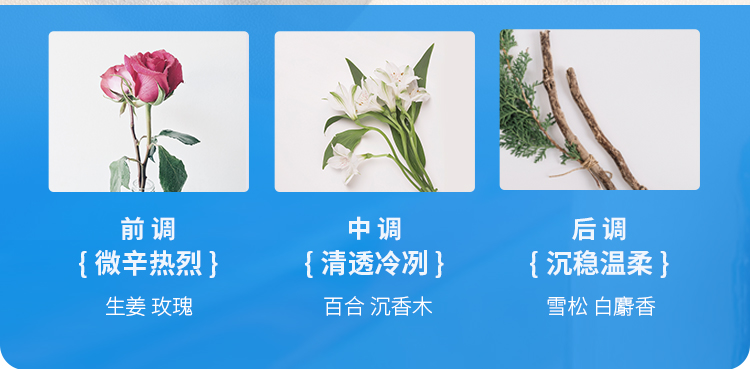 白日流星15ml_07.jpg