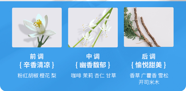 黑夜彩虹15ml_07.jpg