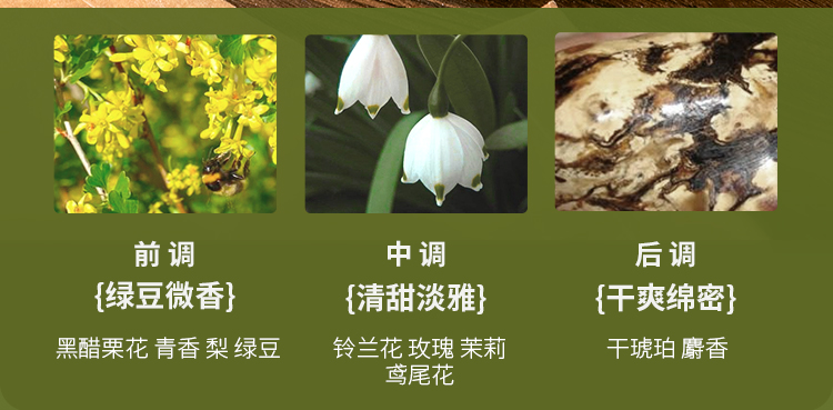 绿豆沙15ml_07.jpg