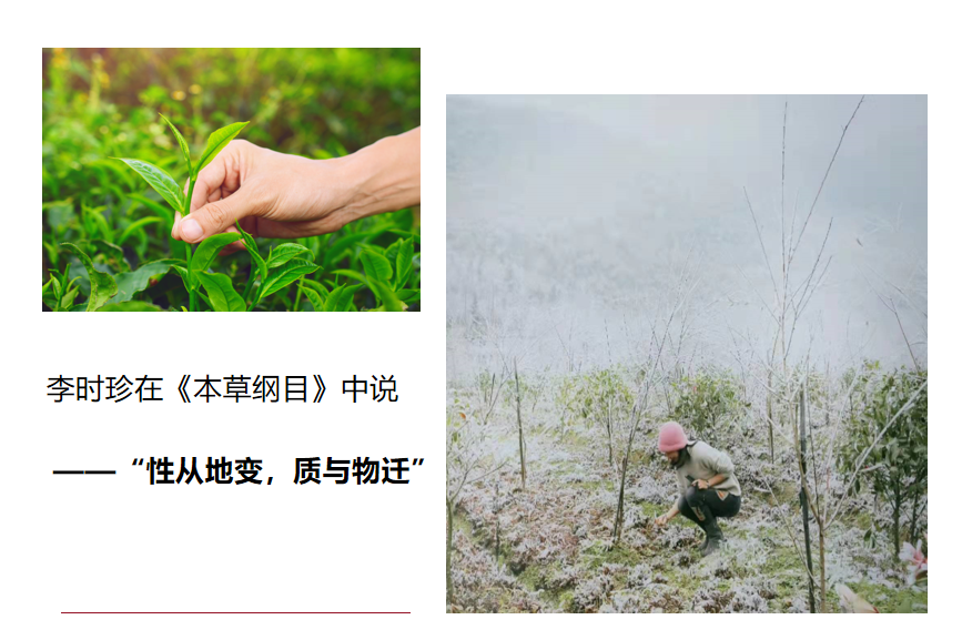 1650248473869615.png 微信图片_20220418101911.png