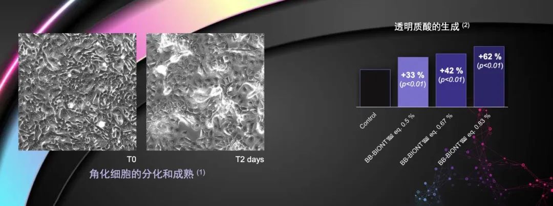 1650261228157331.jpg 微信图片_20220418135109.jpg