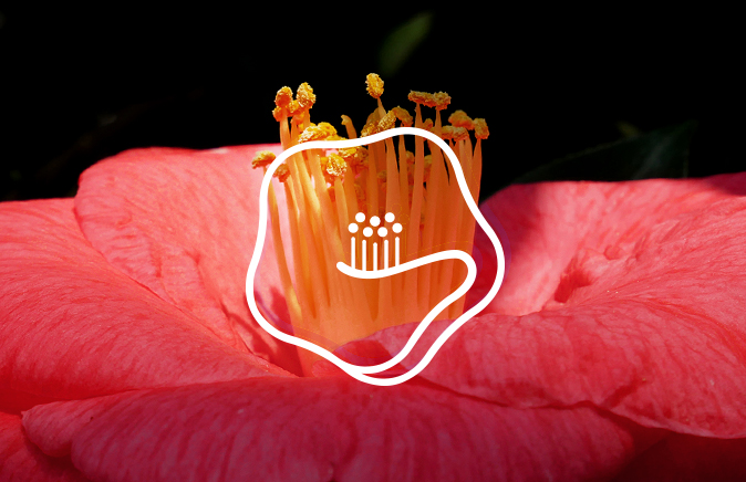 1653447495416192.png 图片4.png