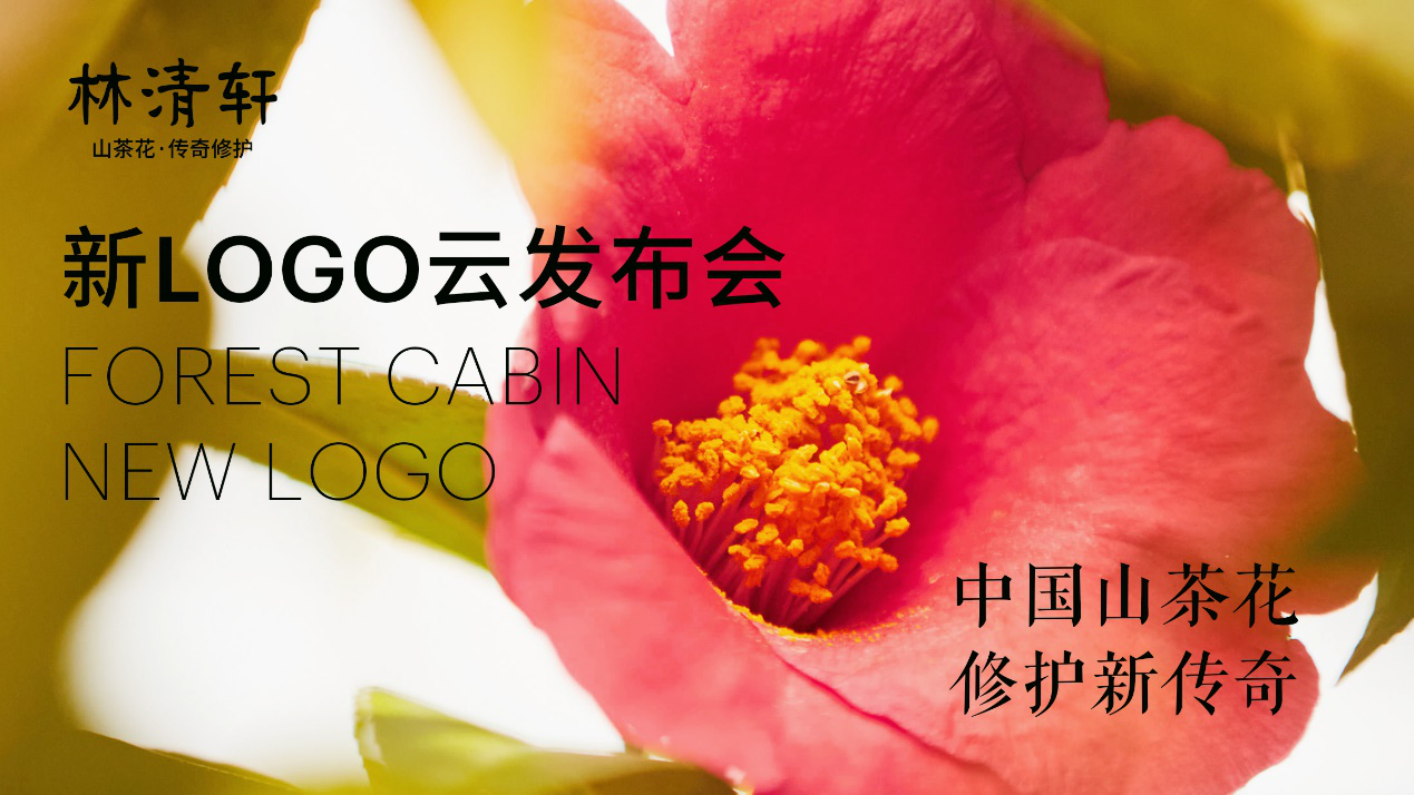 1653447644193667.png 图片6.png