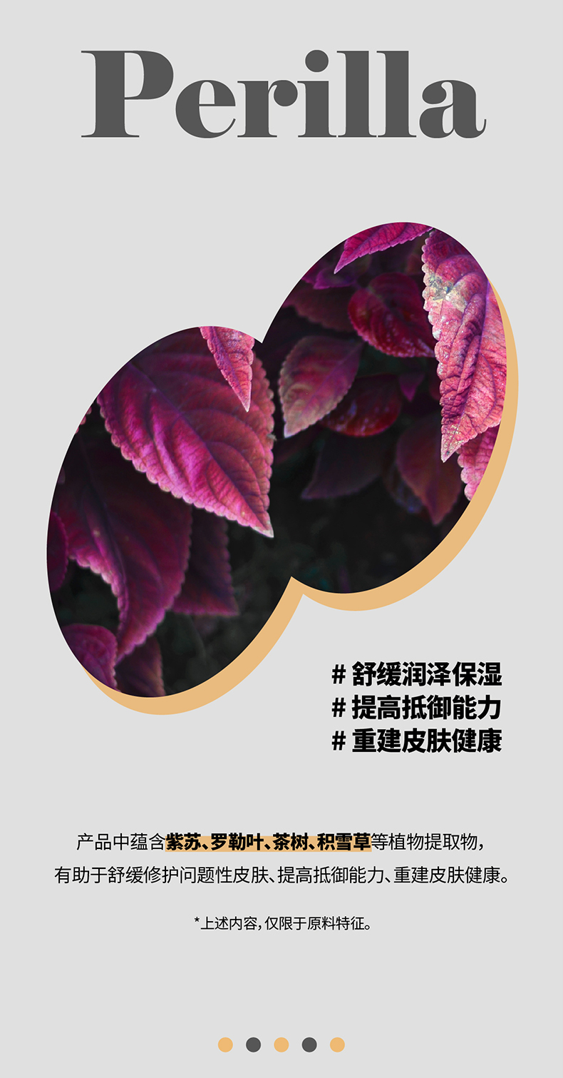 紫苏_04.jpg