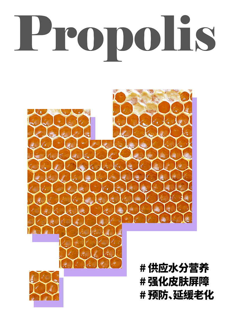 蜂胶_04.jpg