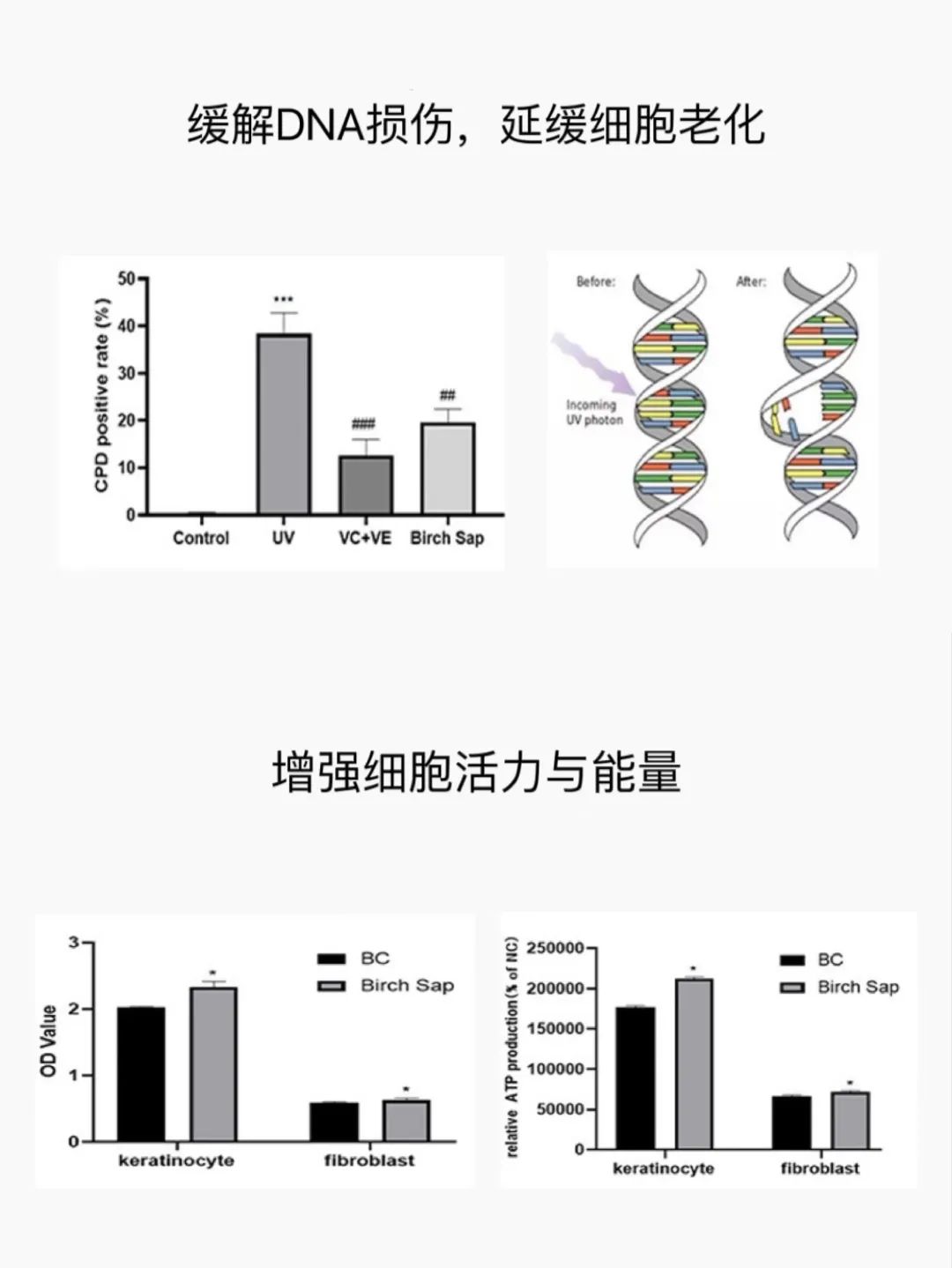 1663552560343366.jpg 微信图片_20220919094938.jpg