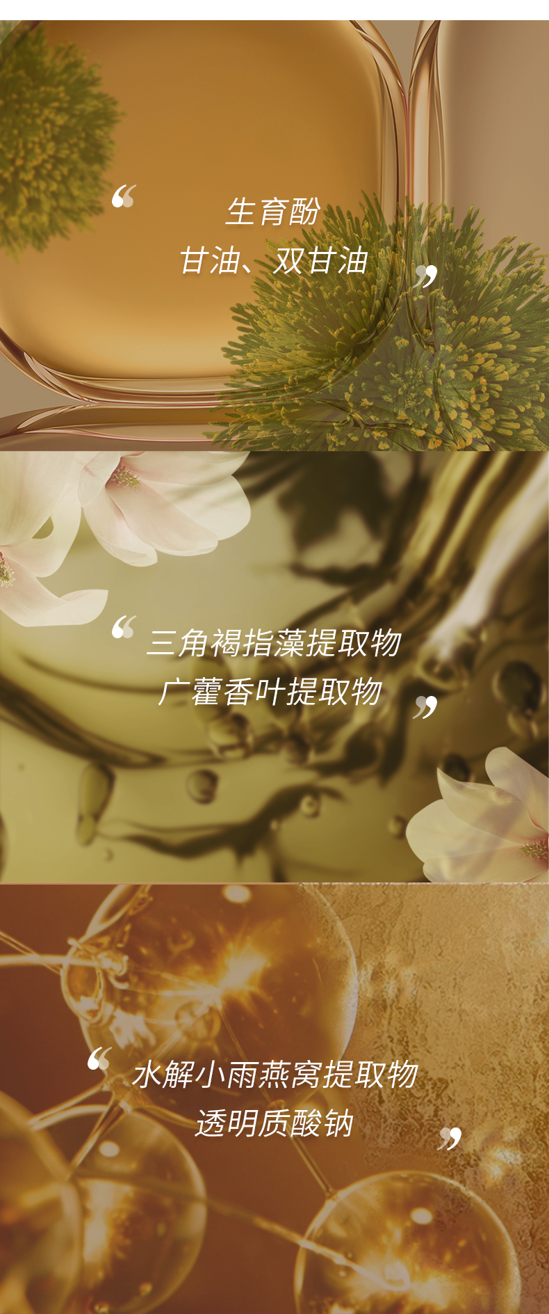 润色详情 (4).jpg