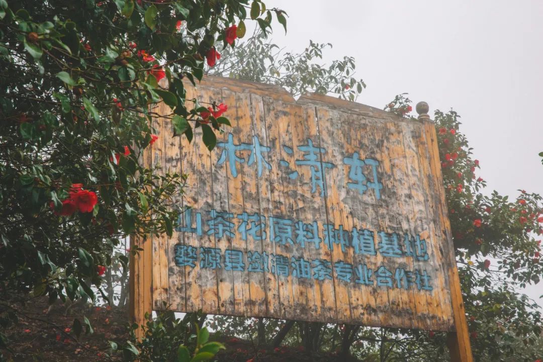 1679469636167042.jpg 微信图片_20230322151809.jpg