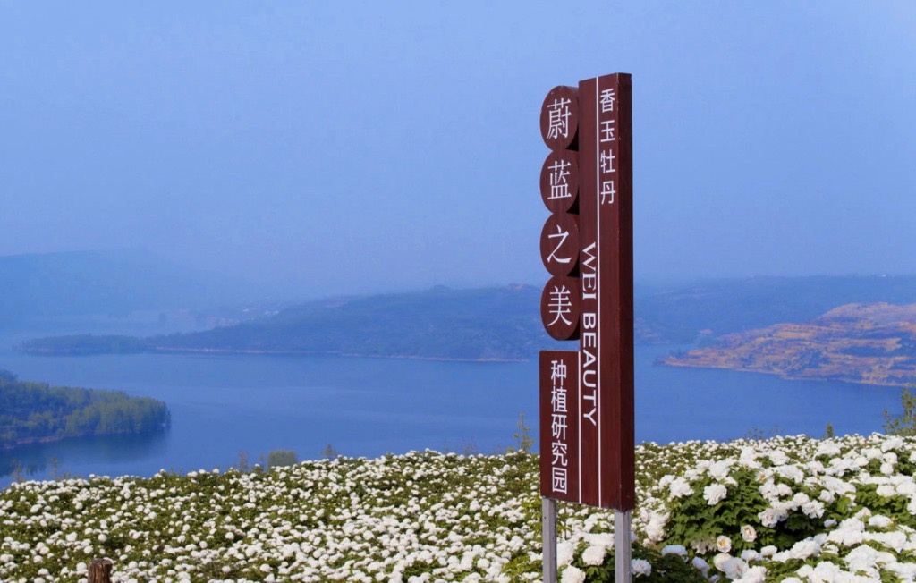 1683529721490012.jpg 微信图片_20230508150821.jpg
