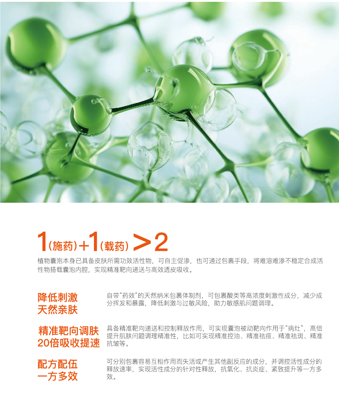 6、工厂简介的副本2.jpg