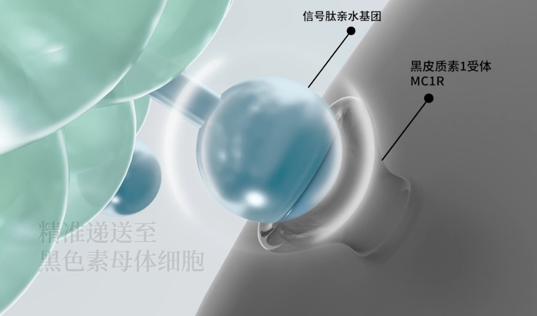 1708670340806194.png 640 (5).png