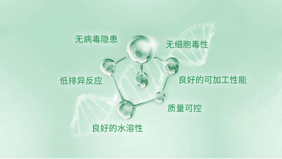 1710827237917144.png 640 (52).png
