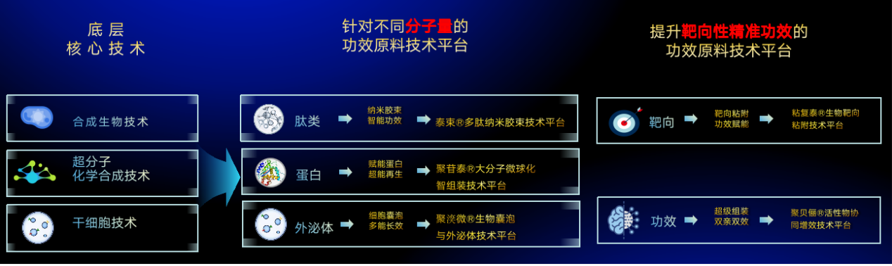 1724221916306801.png 图片991.png
