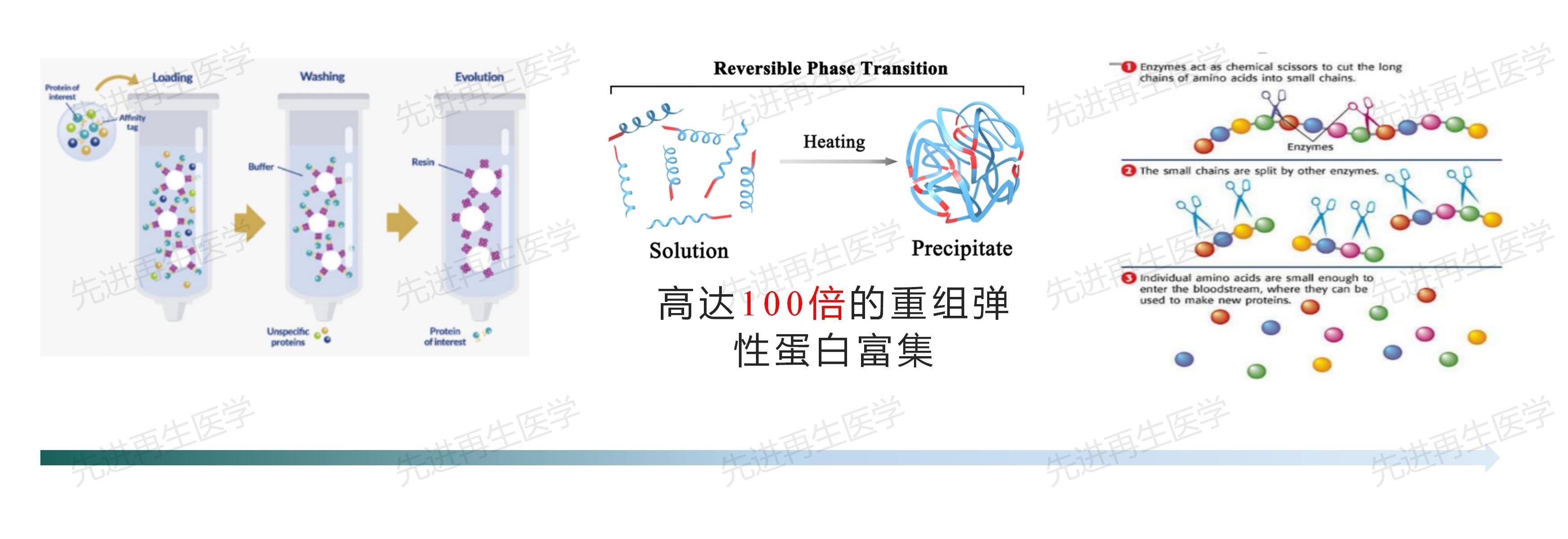 1724555525380261.jpg 技术03.jpg