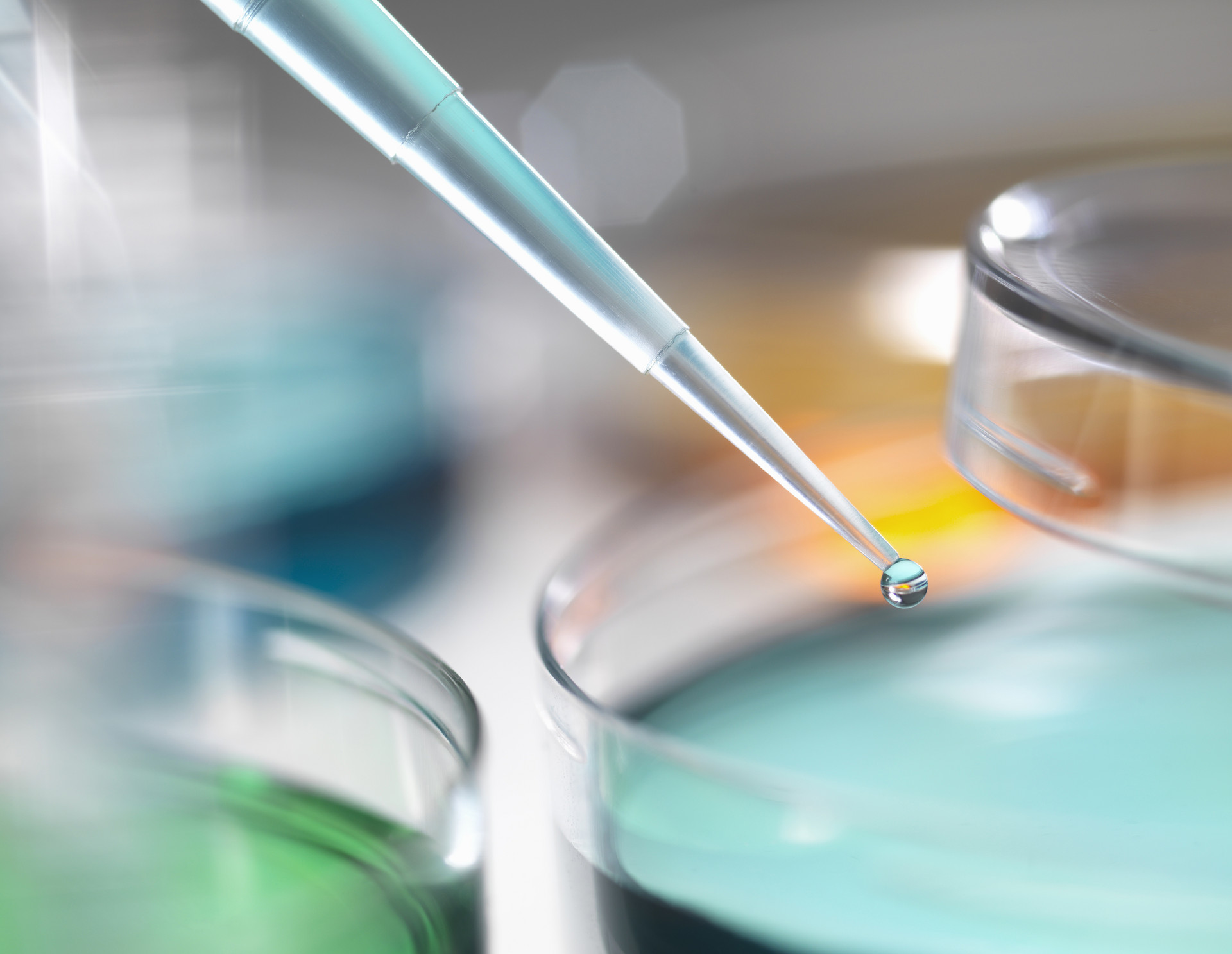 摄图网_501514491_banner_实验室的培养皿（企业商用）.jpg