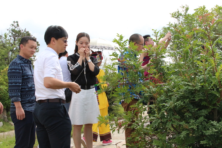 1434243078464282.jpg 5.考察团成员感受当地植物的气味、功效.JPG