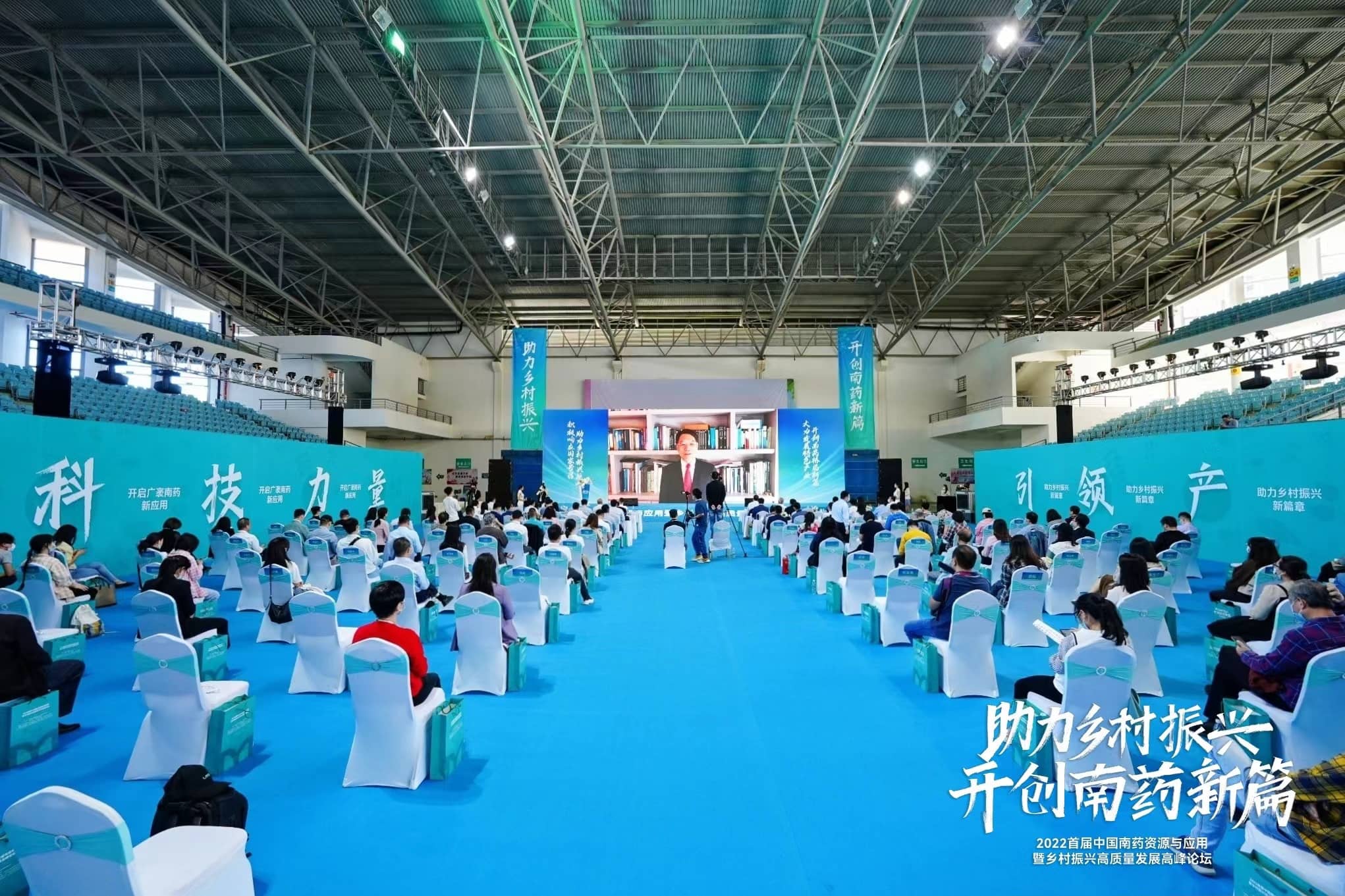 千亿功效市场，“南药”或成下一个热门？