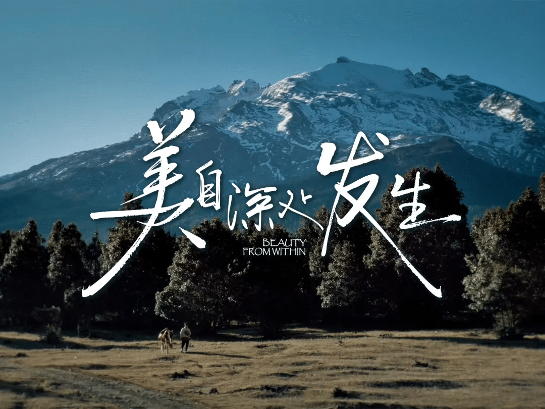贝泰妮集团研发溯源短片声动上线