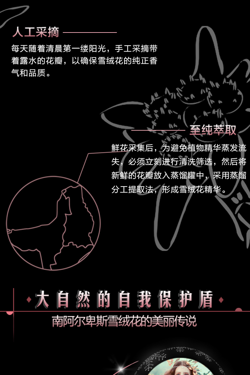 1498401075469604.jpg 雪绒花-水_03.jpg