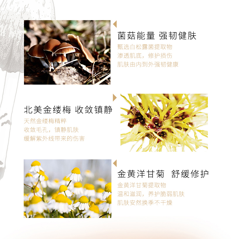 菌菇_03.jpg