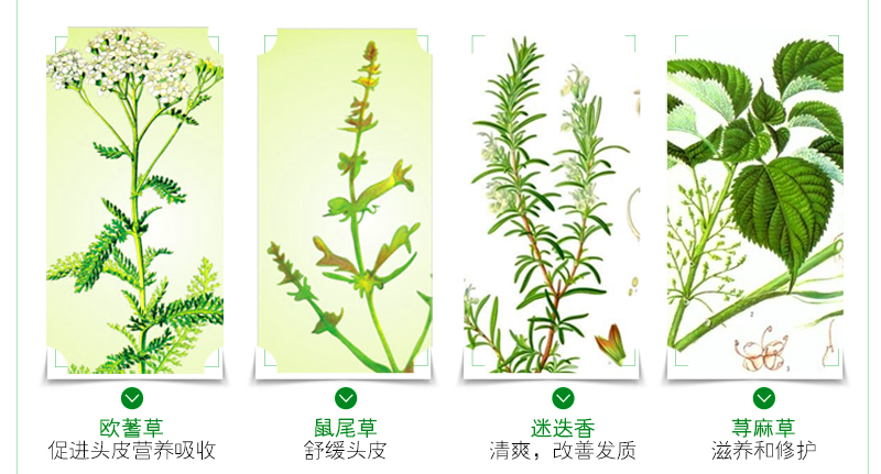 草本护发详情_05.jpg
