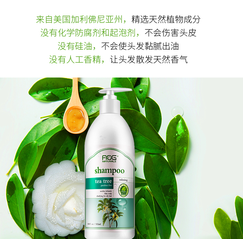 茶树洗发_04.jpg