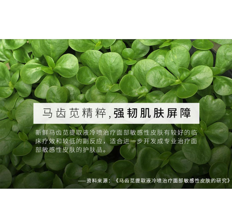 未标题-1_05.jpg