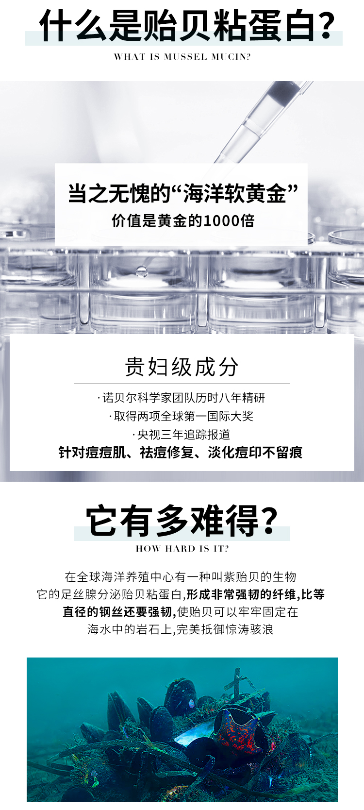 贻贝面膜1-1确定_12.jpg