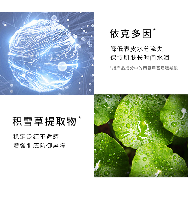 1649730107232552.jpg 水感精华详情页_12.jpg