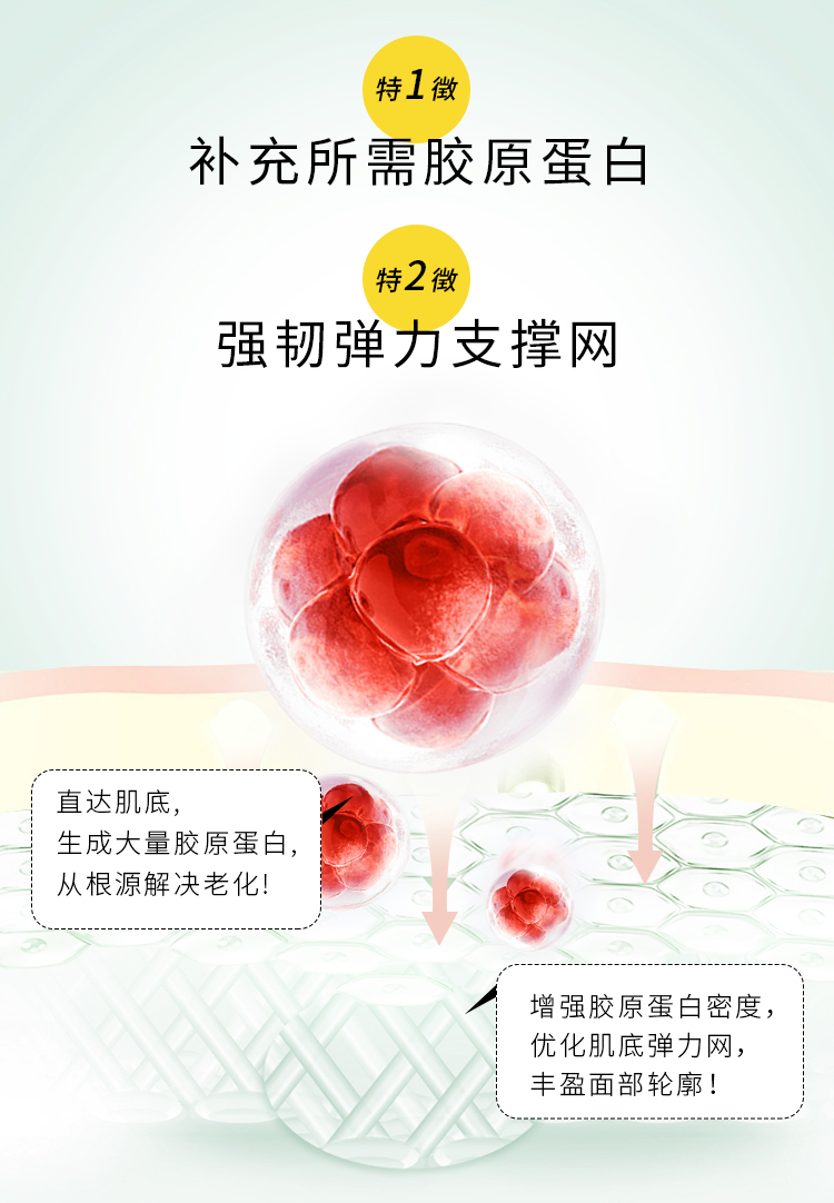 1650362040477854.jpg 血清详情页1_07.jpg