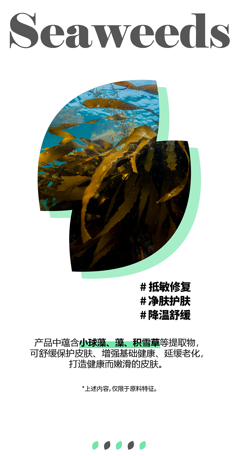 海藻_04.jpg