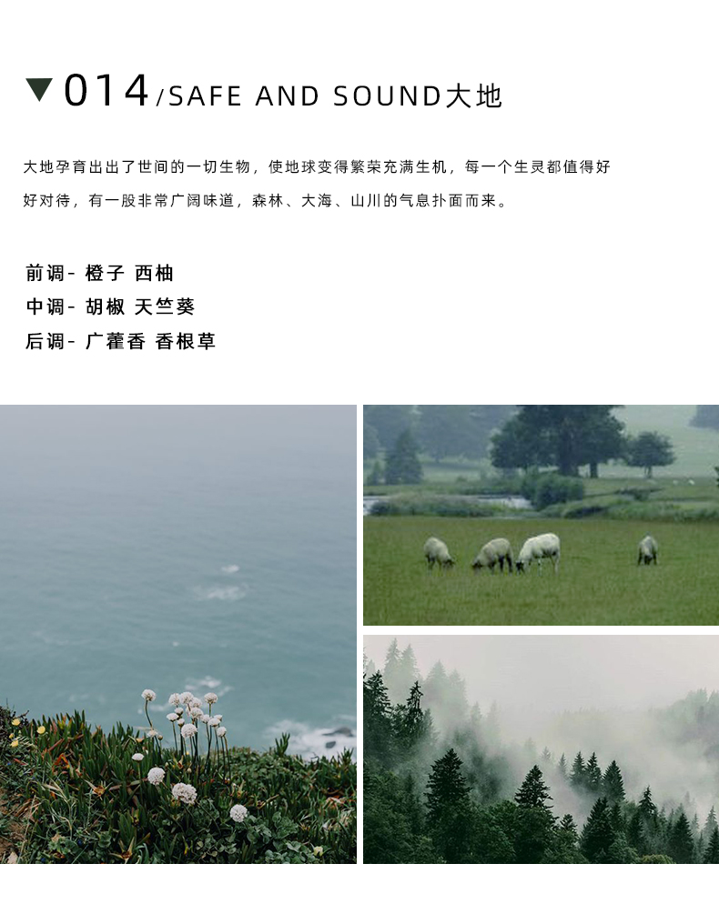 详情页_14.jpg