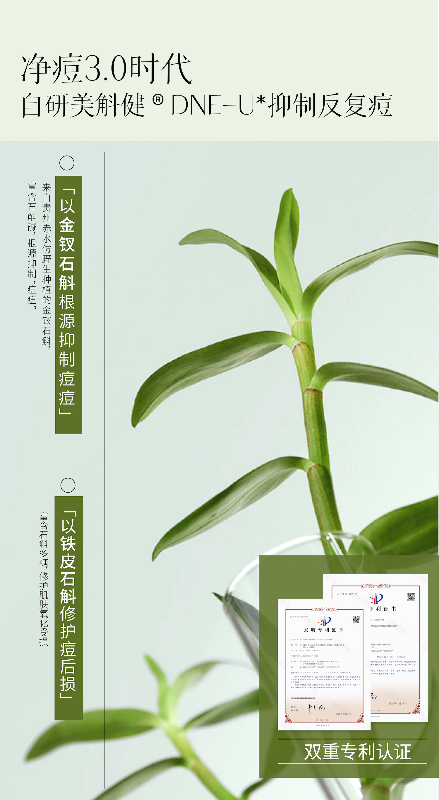 斛说金钗石斛精华液 详情页-07.jpg