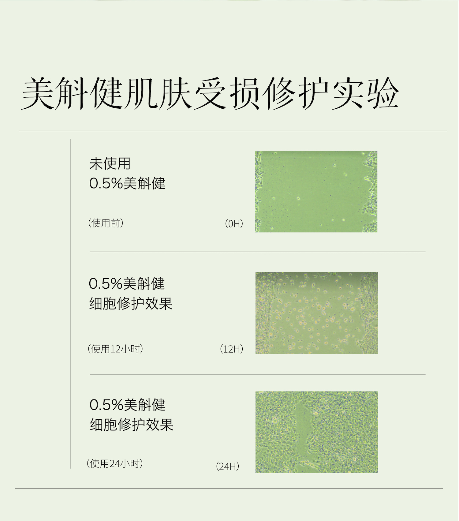斛说金钗石斛精华液 详情页-08.jpg