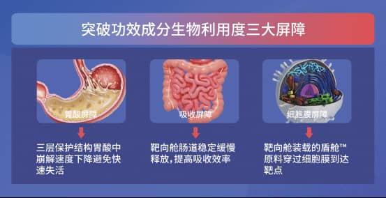 1758179371169960.jpg 三重屏障.jpg