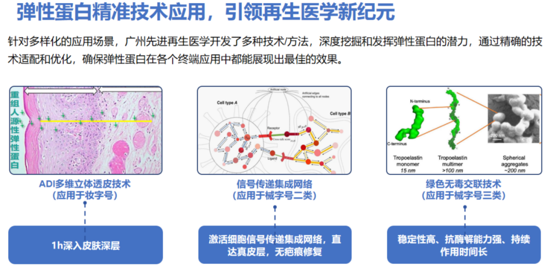 DM_20251010103244_006.png