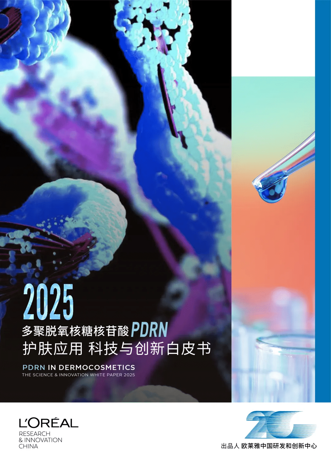 1762743882320565.png 图片1.png