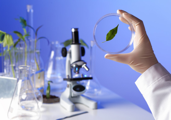 2026年，TOP美妆品牌都在押注这3类爆款成分